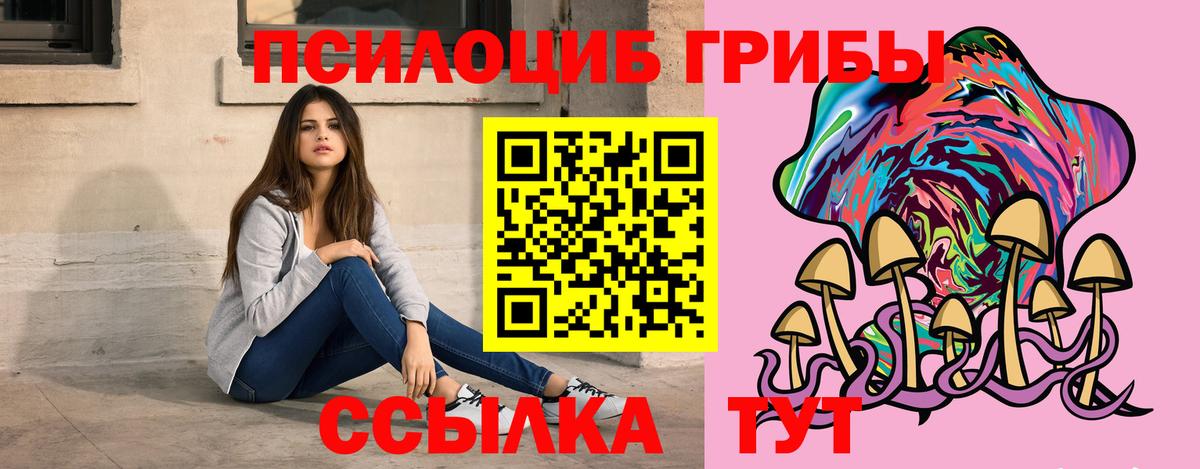 Галлюциногенные грибы Psilocybine cubensis Киселёвск